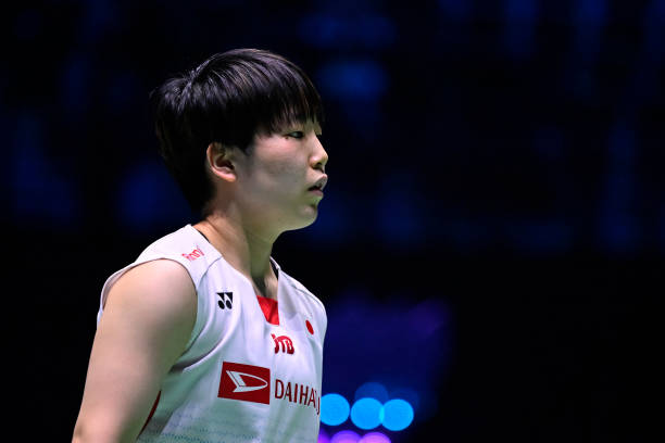 从入门到进阶：高碳羽毛球拍适合哪些水平的球友？