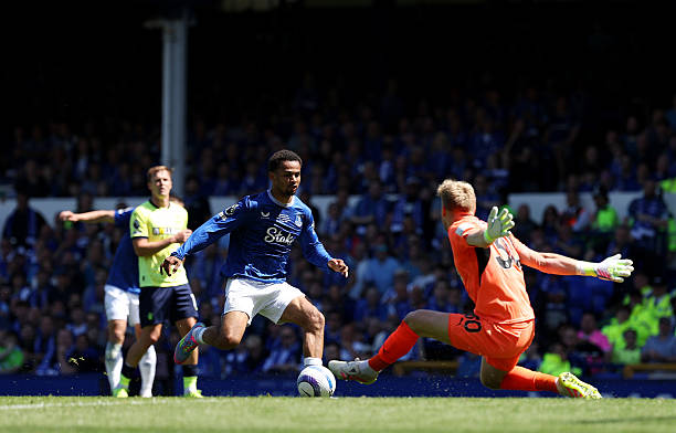 法国杯冠军奖金揭秘：荣誉与财富的双重诱惑