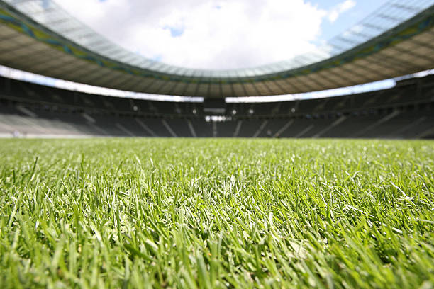 世界足球排名第一的国家究竟是谁？