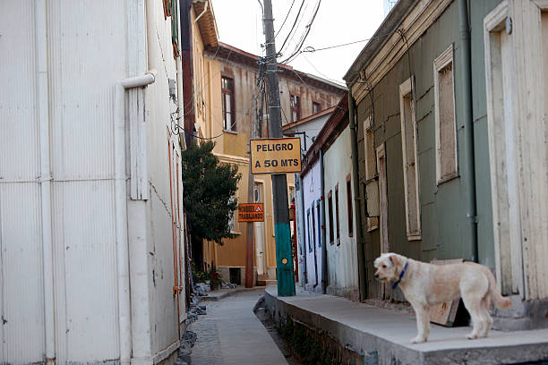 贝克汉姆近期发型指南：打造他的时尚造型必备产品与技巧