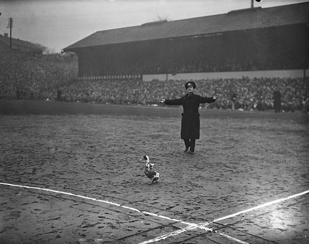 德国vs法国进球预测：谁将主宰欧洲德比战？