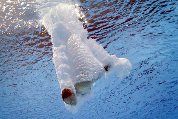 田亮的身材管理：坚持运动与合理饮食的结合