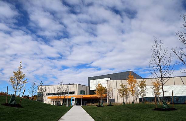 苏炳添：突破极限，为国争光