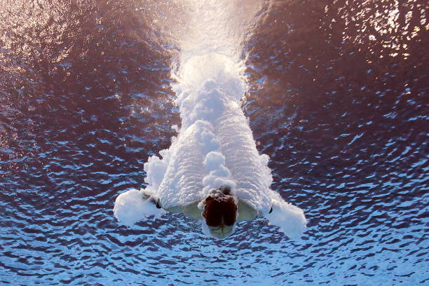 跳远训练方法分享：助你稳步提升至150米水平