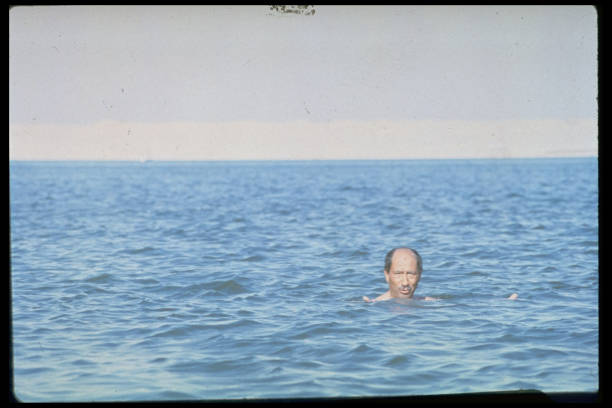 夏日必备！超简单的游泳池绘画指南