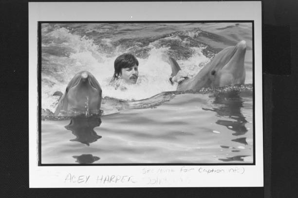 想通过游泳锻炼身体?先了解自由泳和蛙泳的区别!